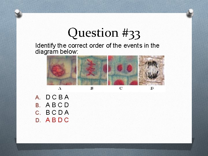 Question #33 Identify the correct order of the events in the diagram below: A.