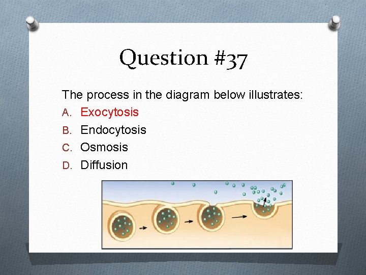 Question #37 The process in the diagram below illustrates: A. Exocytosis B. Endocytosis C.