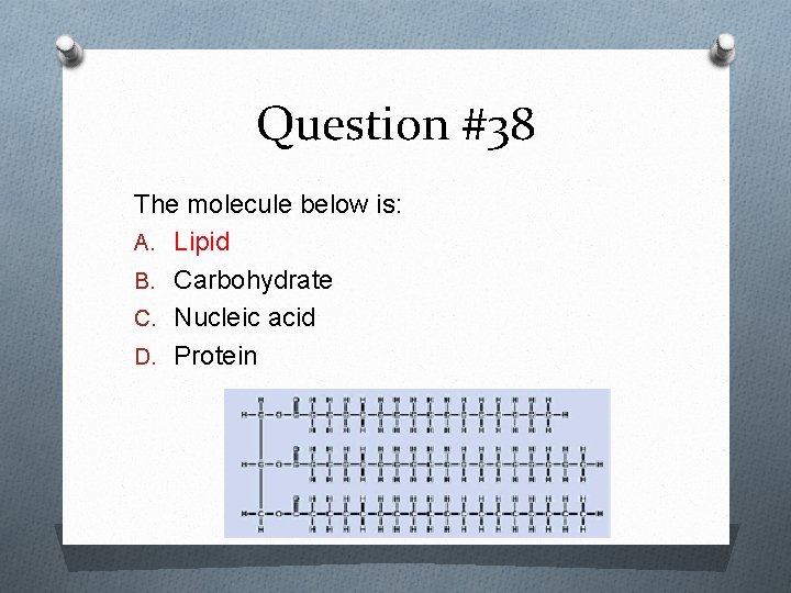 Question #38 The molecule below is: A. Lipid B. Carbohydrate C. Nucleic acid D.