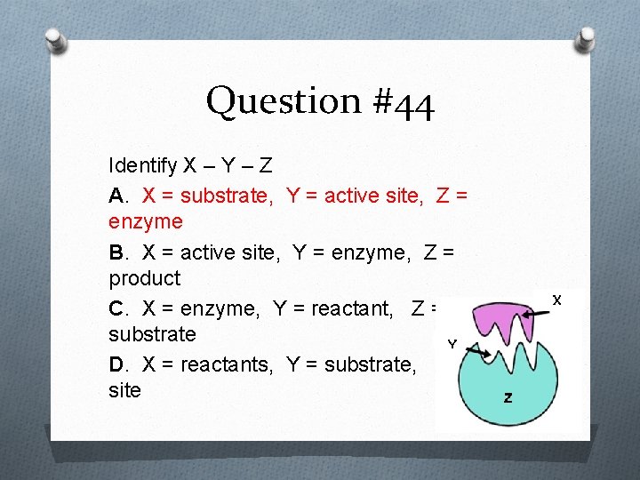 Question #44 Identify X – Y – Z A. X = substrate, Y =