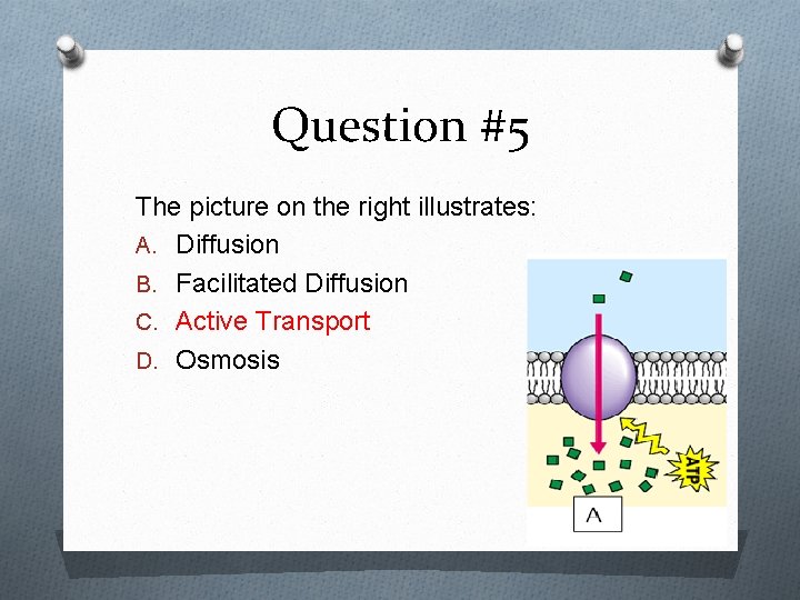 Question #5 The picture on the right illustrates: A. Diffusion B. Facilitated Diffusion C.