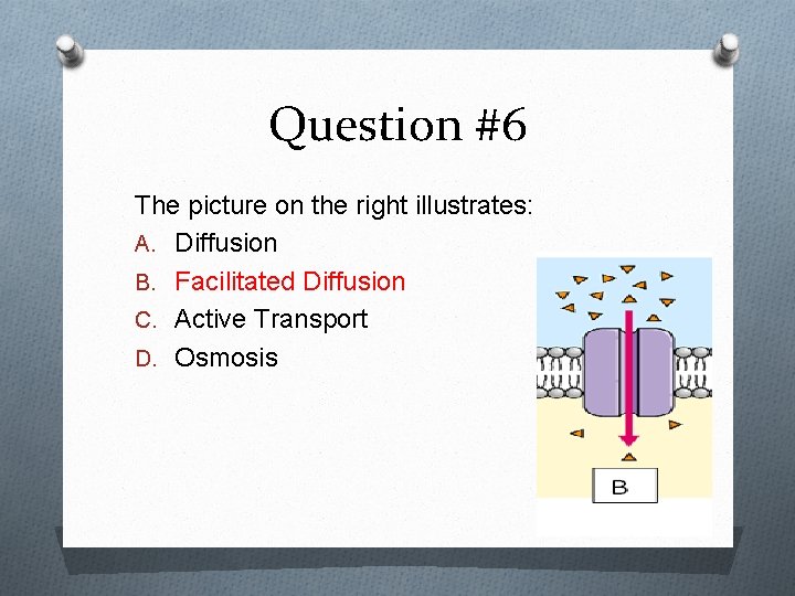 Question #6 The picture on the right illustrates: A. Diffusion B. Facilitated Diffusion C.