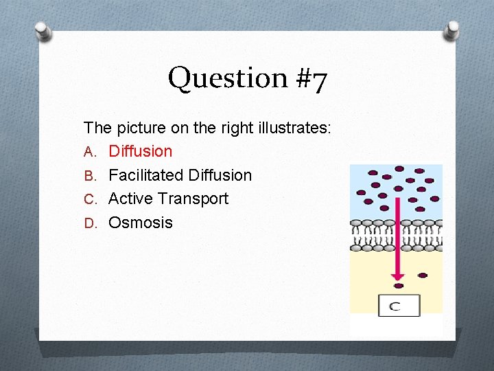 Question #7 The picture on the right illustrates: A. Diffusion B. Facilitated Diffusion C.