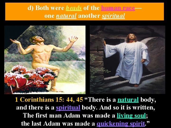 d) Both were heads of the human race— one natural another spiritual 1 Corinthians