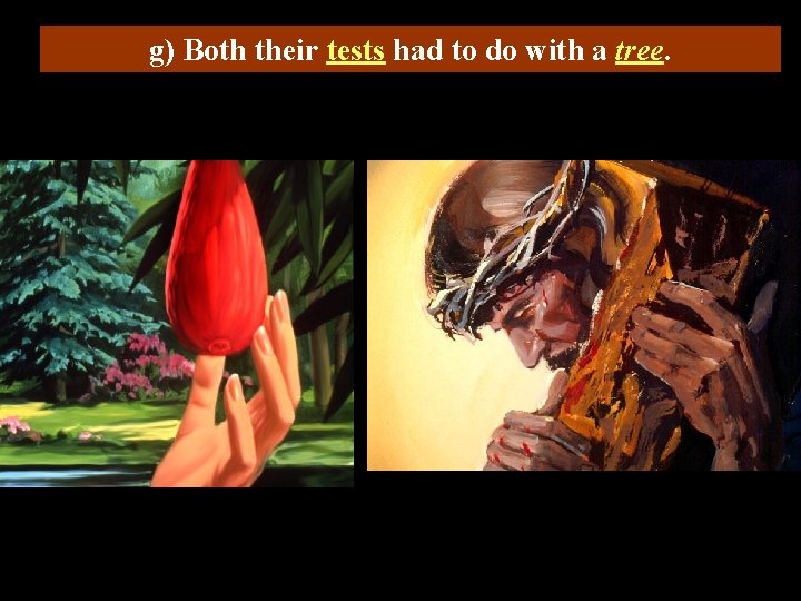 g) Both their tests had to do with a tree. 