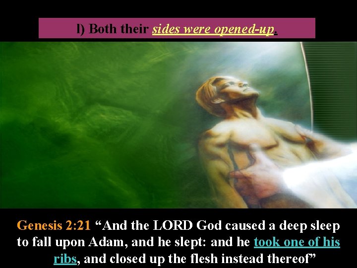 Both their sides were opened-up. l) Both their sides were opened-up. Genesis 2: 21