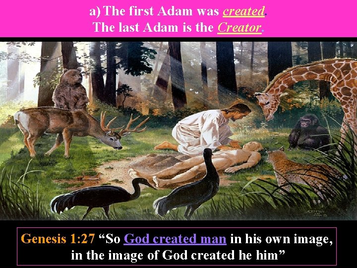 a) The first Adam was created. The last Adam is the Creator. Genesis 1: