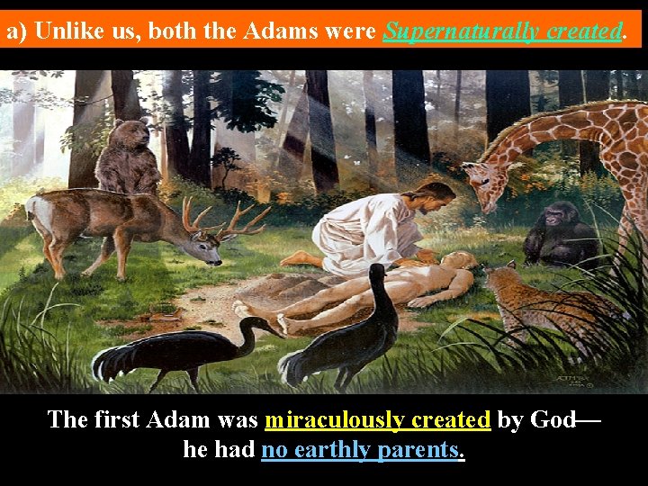 a) Unlike us, both the Adams were Supernaturally created. The first Adam was miraculously