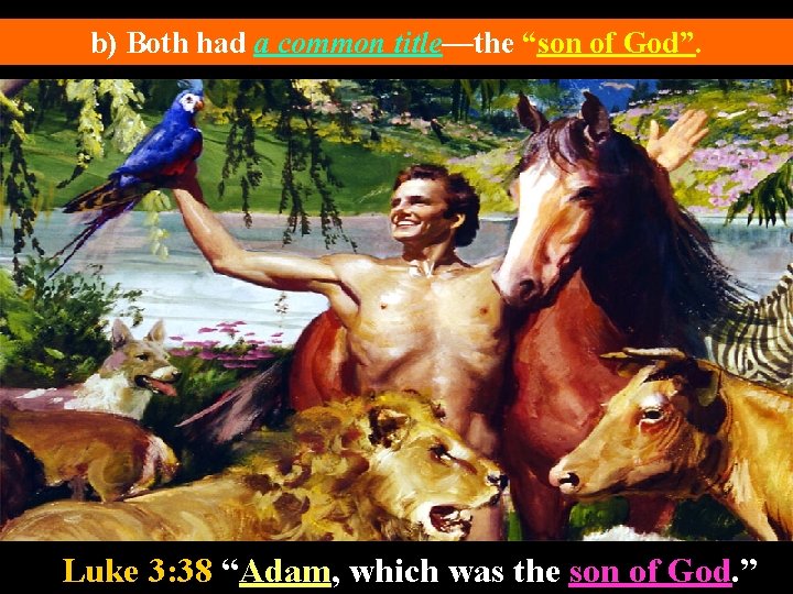 b) Both had a common title—the “son of God”. Luke 3: 38 “Adam, which