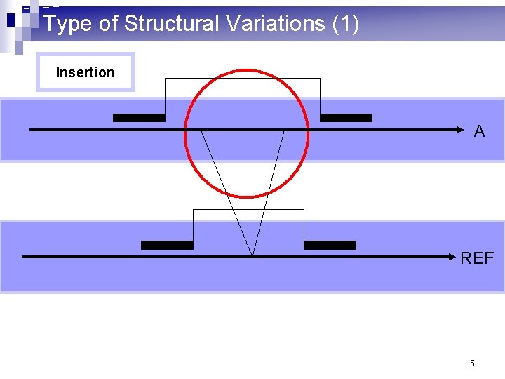 Type of Structural Variations (1) Insertion A REF 5 