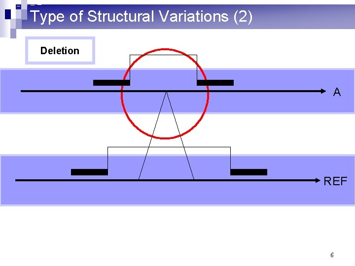 Type of Structural Variations (2) Deletion A REF 6 