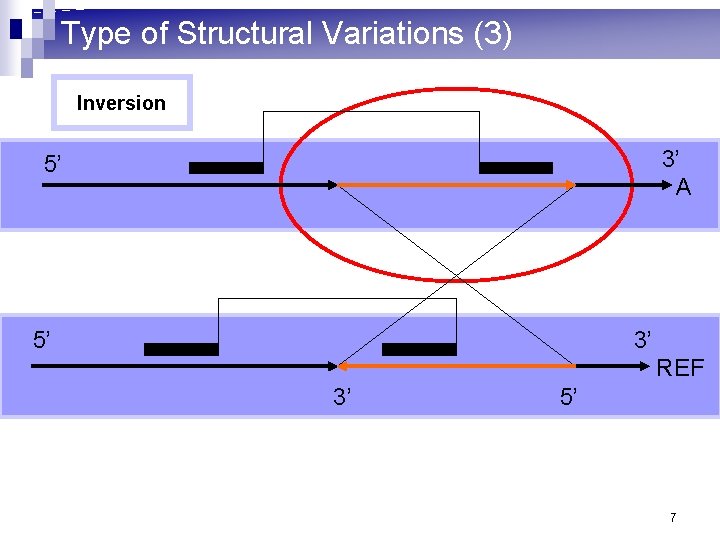 Type of Structural Variations (3) Inversion 3’ A 5’ 5’ 3’ REF 3’ 5’