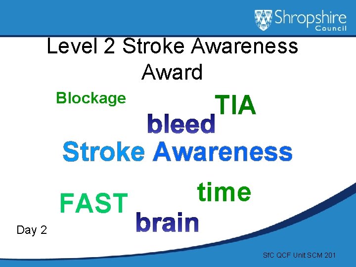 Level 2 Stroke Awareness Award Blockage TIA Stroke Awareness time FAST Day 2 Sf.