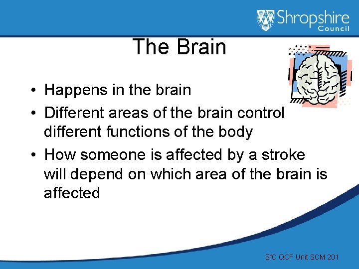 The Brain • Happens in the brain • Different areas of the brain control