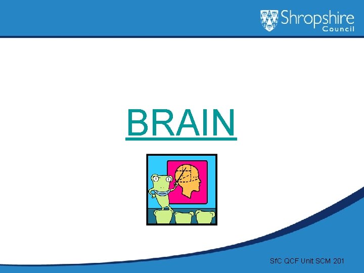 BRAIN Sf. C QCF Unit SCM 201 