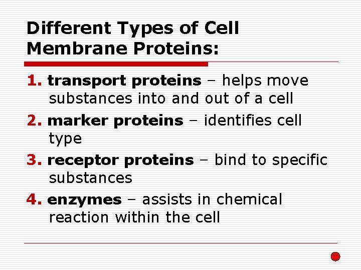 Different Types of Cell Membrane Proteins: 1. transport proteins – helps move substances into Different Types of Cell Membrane Proteins: 1. transport proteins – helps move substances into
