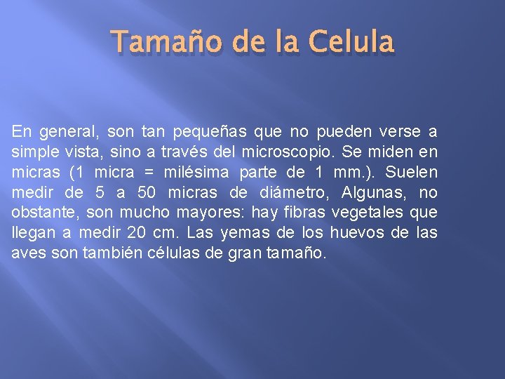 Tamaño de la Celula En general, son tan pequeñas que no pueden verse a