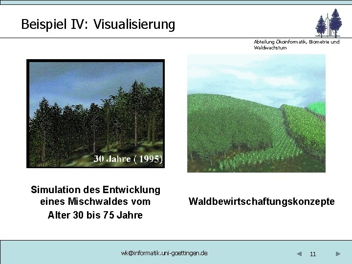 Beispiel IV: Visualisierung Abteilung Ökoinformatik, Biometrie und Waldwachstum Simulation des Entwicklung eines Mischwaldes vom