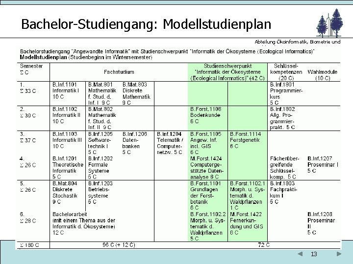Bachelor-Studiengang: Modellstudienplan Abteilung Ökoinformatik, Biometrie und Waldwachstum 13 