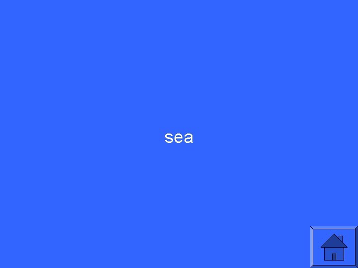 sea 