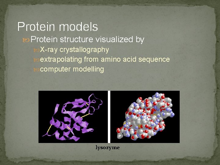 Protein models Protein structure visualized by X-ray crystallography extrapolating from amino acid sequence computer