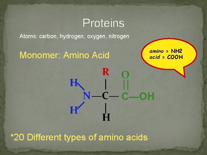 Proteins Atoms: carbon, hydrogen, oxygen, nitrogen Monomer: Amino Acid amino = NH 2 acid