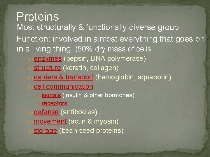 Proteins Most structurally & functionally diverse group Function: involved in almost everything that goes