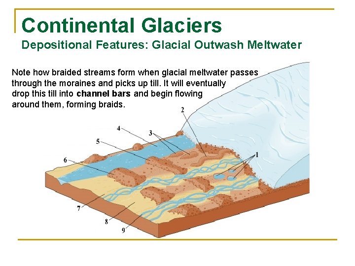 Continental Glaciers Depositional Features: Glacial Outwash Meltwater Note how braided streams form when glacial