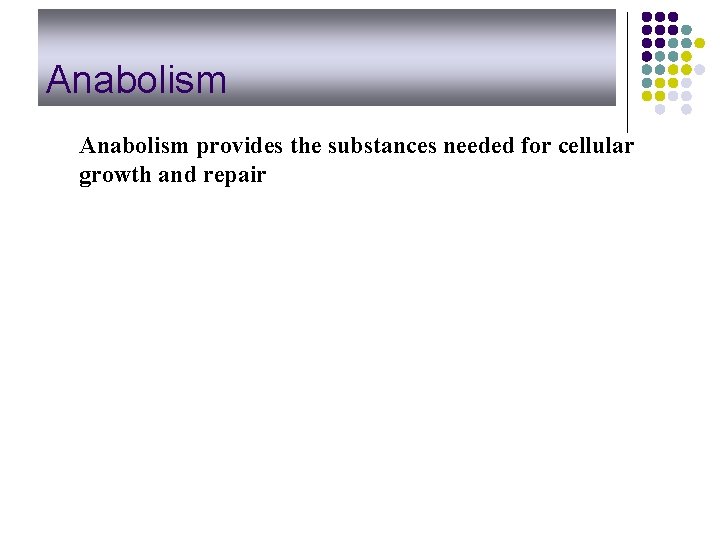 Anabolism provides the substances needed for cellular growth and repair 