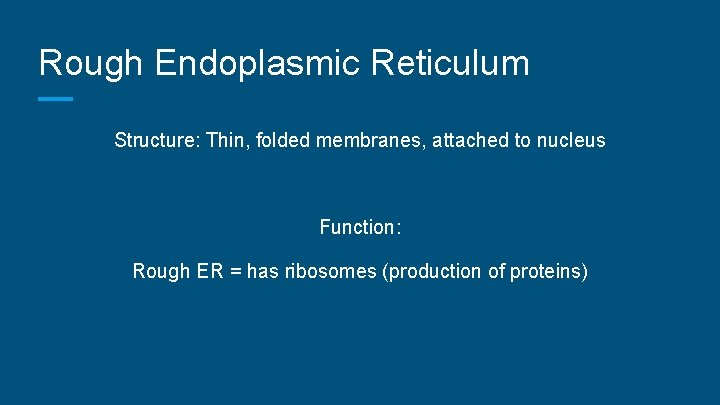 Rough Endoplasmic Reticulum Structure: Thin, folded membranes, attached to nucleus Function: Rough ER =