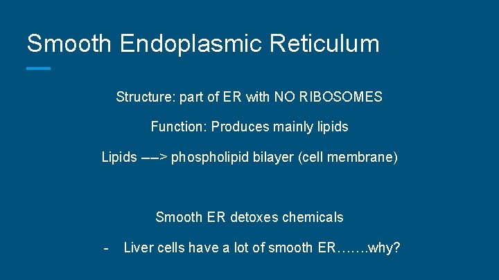 Smooth Endoplasmic Reticulum Structure: part of ER with NO RIBOSOMES Function: Produces mainly lipids