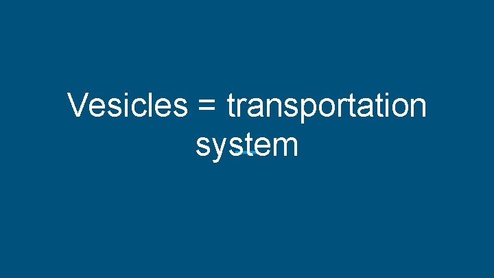 Vesicles = transportation system 