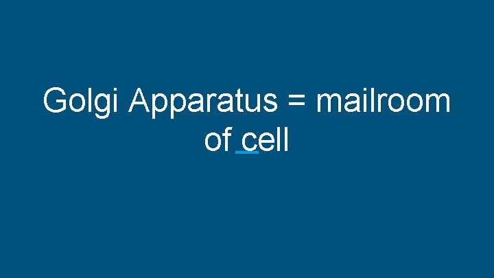 Golgi Apparatus = mailroom of cell 