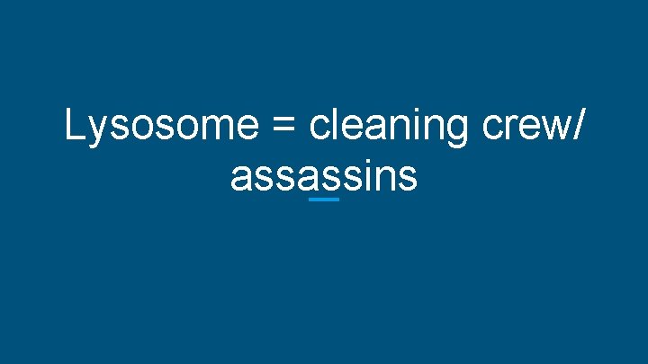Lysosome = cleaning crew/ assassins 