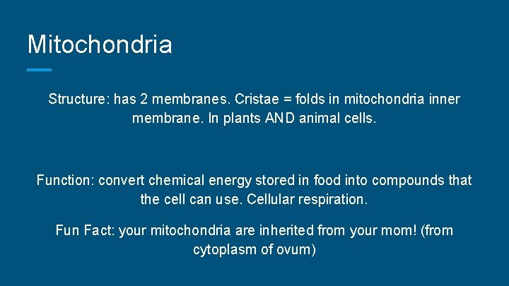 Mitochondria Structure: has 2 membranes. Cristae = folds in mitochondria inner membrane. In plants