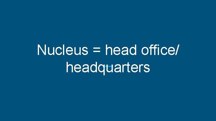 Nucleus = head office/ headquarters 