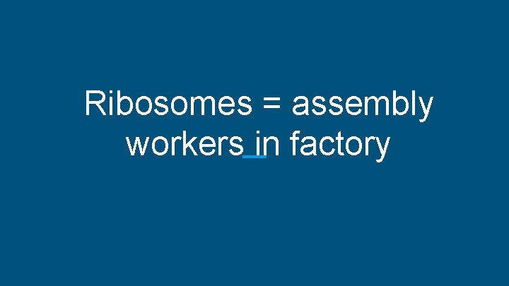 Ribosomes = assembly workers in factory 