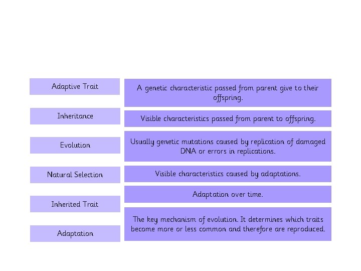 Adaptive Trait A genetic characteristic passed from parent give to their offspring. Inheritance Visible