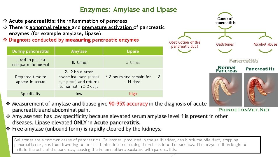 Enzymes: Amylase and Lipase v Acute pancreatitis: the inflammation of pancreas v There is