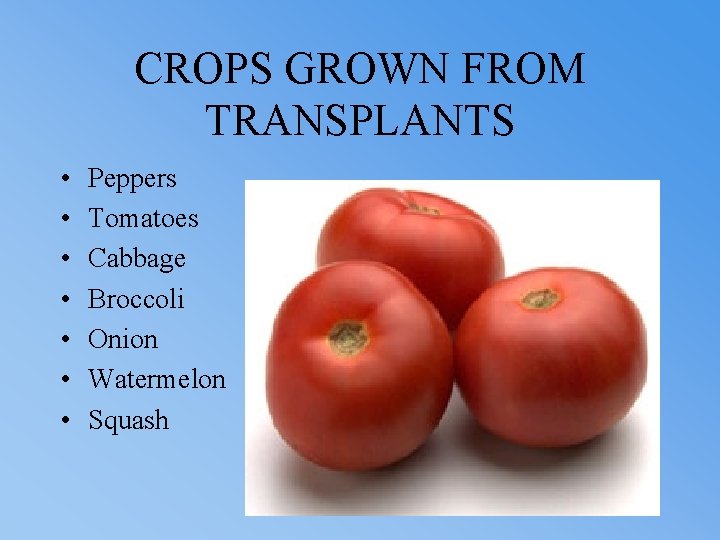 CROPS GROWN FROM TRANSPLANTS • • Peppers Tomatoes Cabbage Broccoli Onion Watermelon Squash 