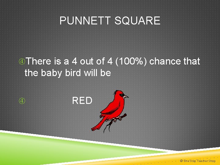 PUNNETT SQUARE There is a 4 out of 4 (100%) chance that the baby