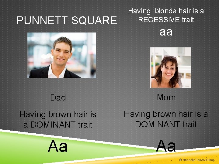 PUNNETT SQUARE Having blonde hair is a RECESSIVE trait aa If the pink gorilla