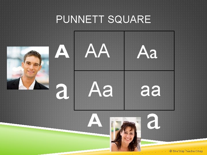 PUNNETT SQUARE AA Aa aa © One Stop Teacher Shop 