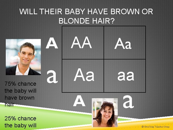 WILL THEIR BABY HAVE BROWN OR BLONDE HAIR? AA 75% chance the baby will