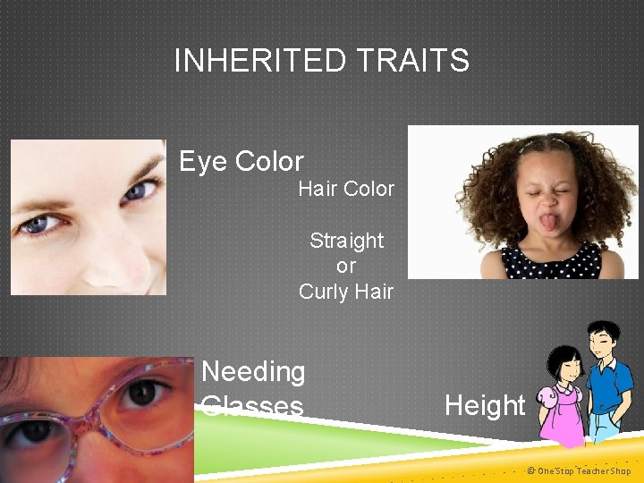 INHERITED TRAITS Eye Color Hair Color Straight or Curly Hair Needing Glasses If the