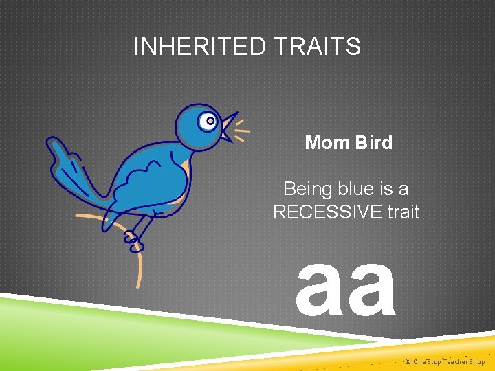 INHERITED TRAITS Mom Bird Being blue is a RECESSIVE trait aa © One Stop