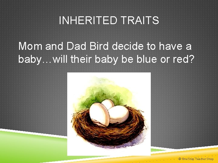 INHERITED TRAITS Mom and Dad Bird decide to have a baby…will their baby be