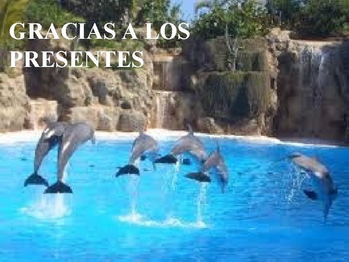 GRACIAS A LOS PRESENTES 