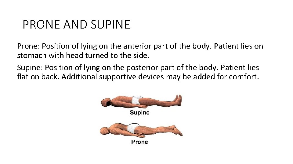 PRONE AND SUPINE Prone: Position of lying on the anterior part of the body.