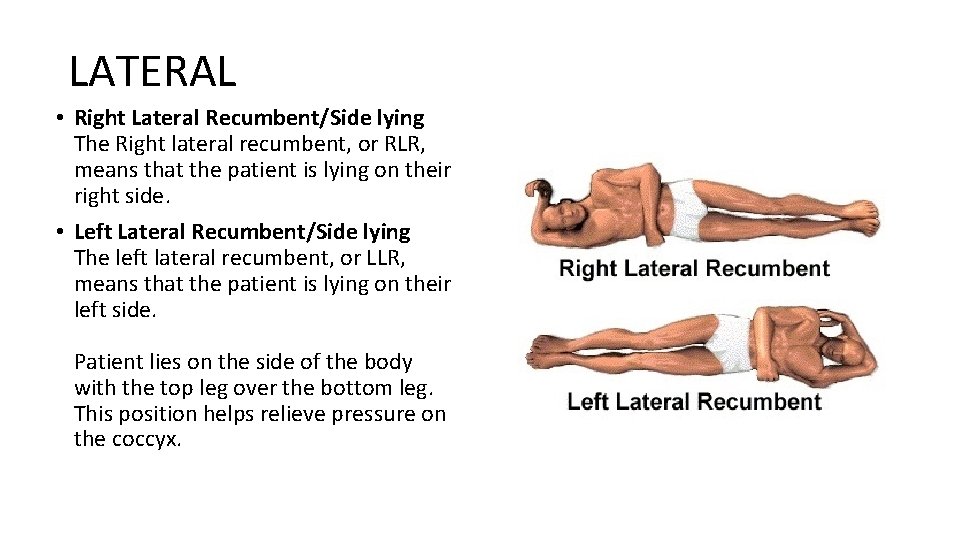 LATERAL • Right Lateral Recumbent/Side lying The Right lateral recumbent, or RLR, means that